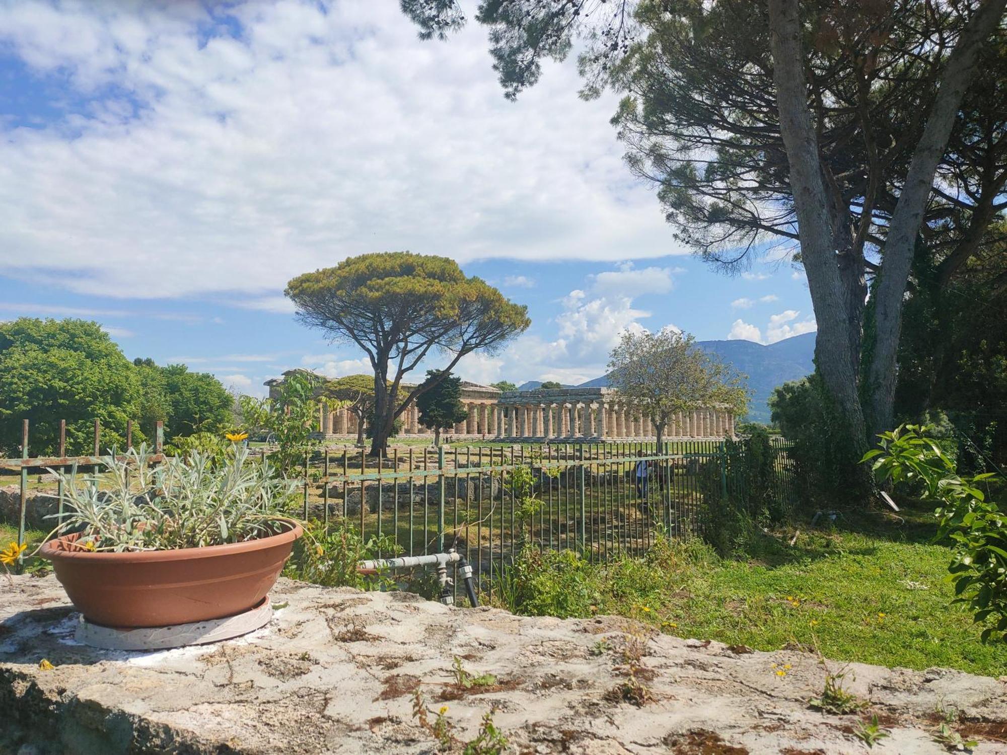Il Giardino Di Athena 1 Apartamento Paestum Quarto foto