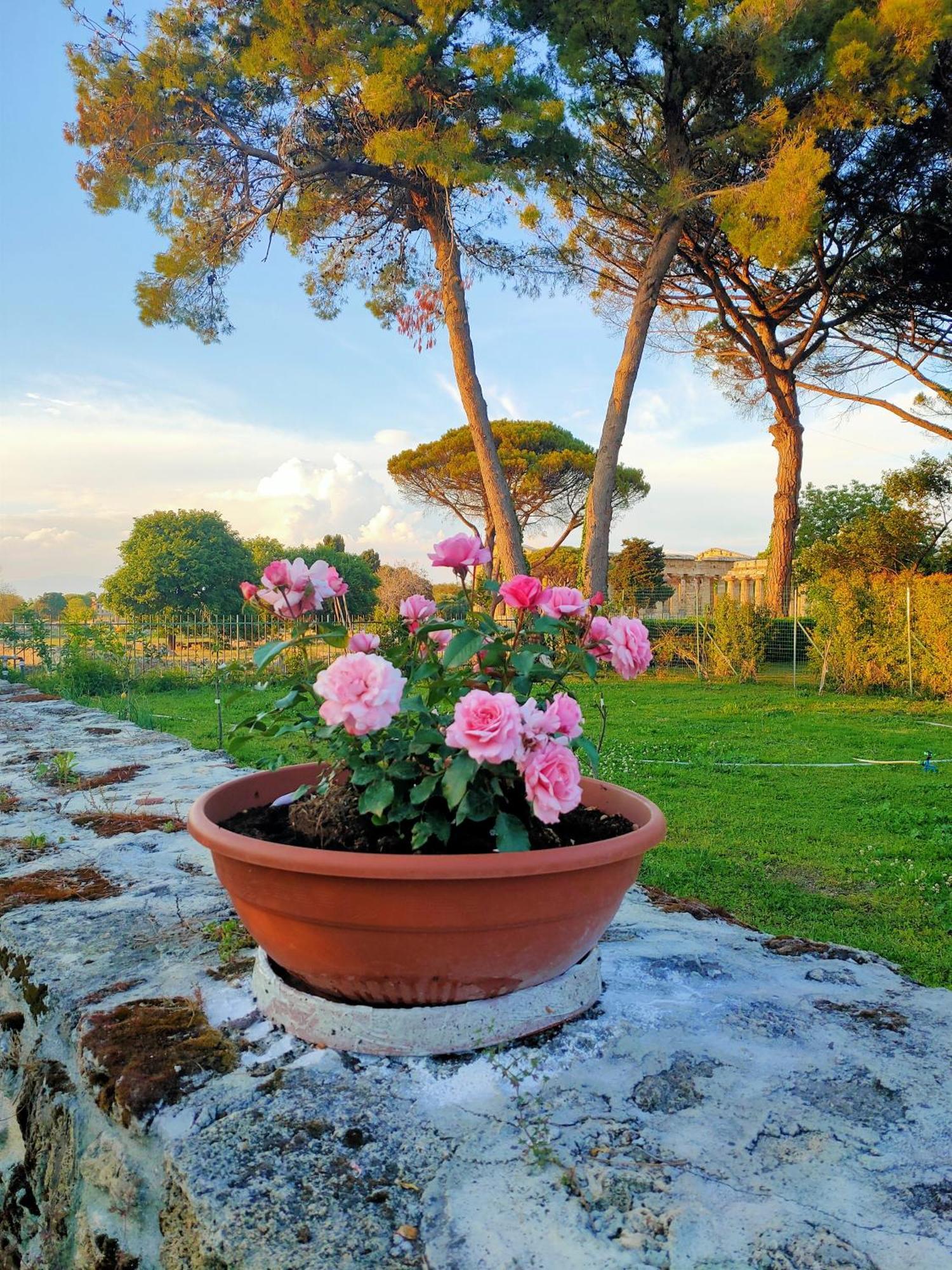Il Giardino Di Athena 1 Apartamento Paestum Exterior foto
