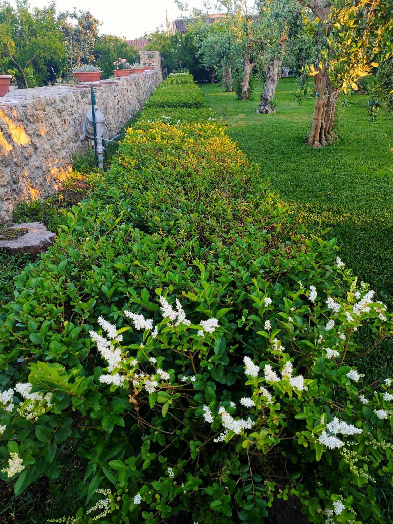 Il Giardino Di Athena 1 Apartamento Paestum Exterior foto